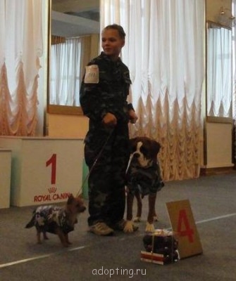 Зверье мое - 3660599_m.jpg