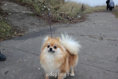 Зверье мое - IMG_7743.JPG