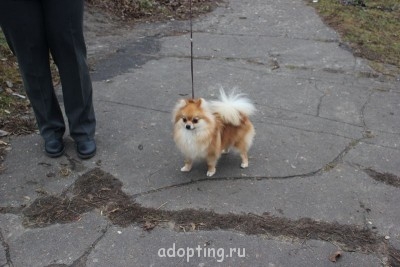 Зверье мое - IMG_7745.JPG