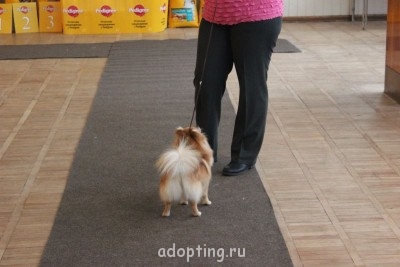 Зверье мое - IMG_7868.JPG