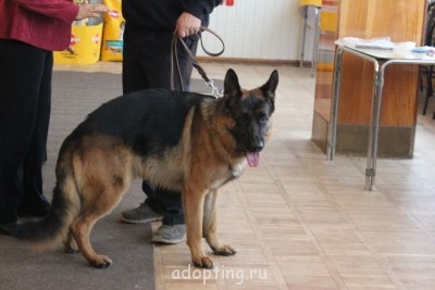 Зверье мое - IMG_7785.JPG