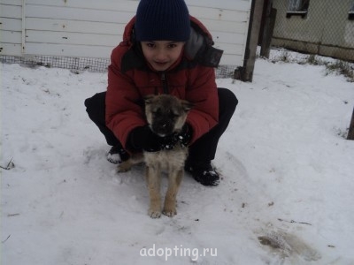 Зверье мое - DSC02506.JPG