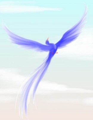 Что вы сегодня слушаете? - 57901108_SINYAYA_ptica.jpg