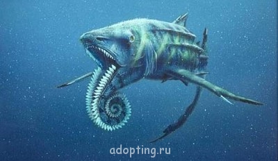 Апокалипсис грядёт? - 8e27c064a71c63754a2923b1a371d86f.jpg