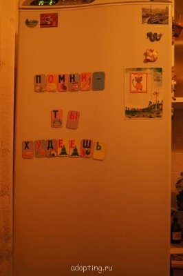 Дамские разговоры или как-таки похудеть - DSC06988.JPG