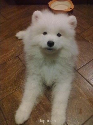 Зверье мое - 06012014501.jpg