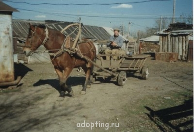 Зверье мое - папа_cr.jpg