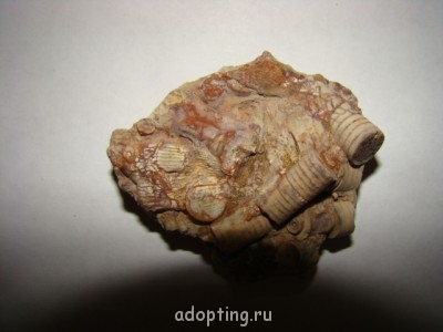 Апокалипсис грядёт? - DSC02153.JPG