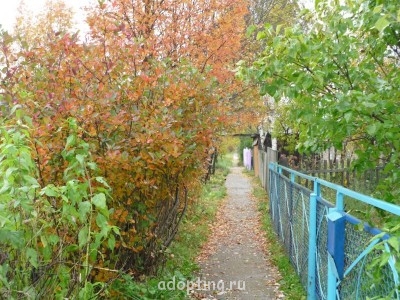 Теория разбитых окон Практическая психология  - P1000861.JPG