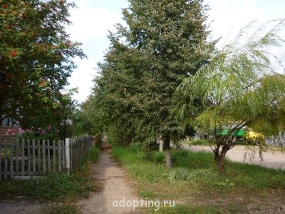 Теория разбитых окон Практическая психология  - P1010915.JPG