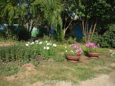 Украшаем улицу - P1040970.JPG