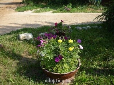 Украшаем улицу - P1100082.JPG