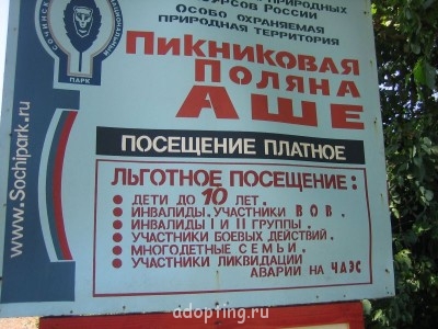 Где и как организован летний отдых приемных детей? - IMG_3430.JPG