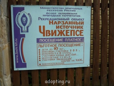 Где и как организован летний отдых приемных детей? - P1030288.JPG