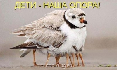 Улыбнитесь  - 6hBpnXjI0zg.jpg