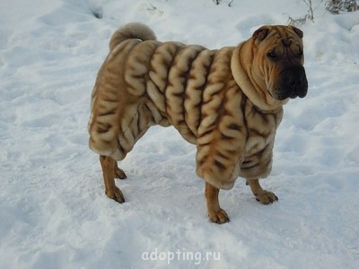 Улыбнитесь  - FK8S65GeTgU.jpg