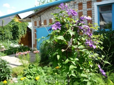 Подключение к газу ограничили ценовыми рамками - P1010727.JPG