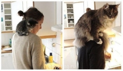 Улыбнитесь  - AcsU1ZXtDX0.jpg