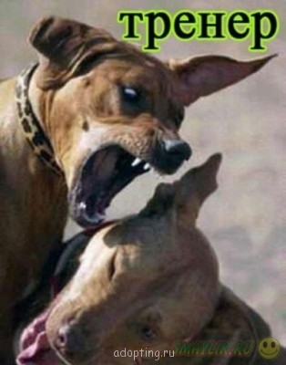 Улыбнитесь  - 105308428_3.jpg