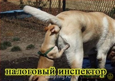 Улыбнитесь  - 105308432_7.jpg