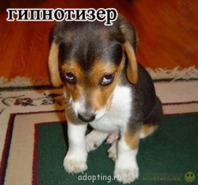 Улыбнитесь  - 105308436_10.jpg