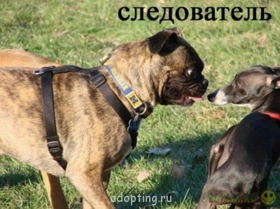 Улыбнитесь  - 105308439_13.jpg