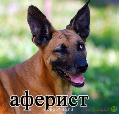 Улыбнитесь  - 105308440_14.jpg