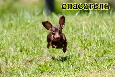 Улыбнитесь  - 105308447_21.jpg