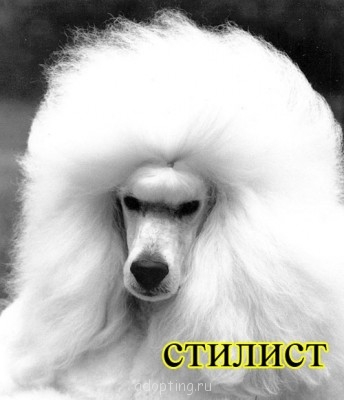 Улыбнитесь  - 105308451_25.jpg