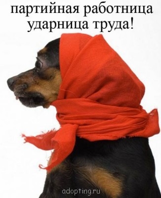 Улыбнитесь  - 105308452_26.jpg