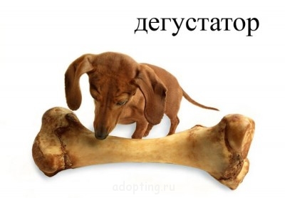 Улыбнитесь  - 105308453_27.jpg