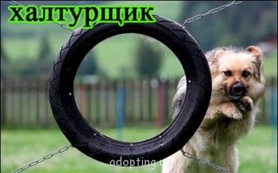 Улыбнитесь  - 105308458_29.jpg