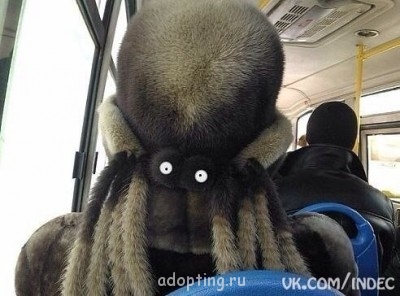 Улыбнитесь  - uuzHxDNiCTE.jpg