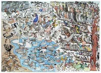 Это рисунок 10-летнего ребенка с диагнозом аутизм. Здесь изображено 400 птиц. Он знает все их персональные имена, а также латинские названия видов