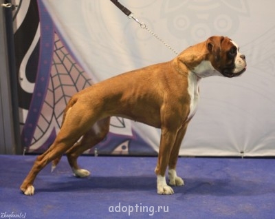 Зверье мое - 2vnk2HrOKQs[1].jpg