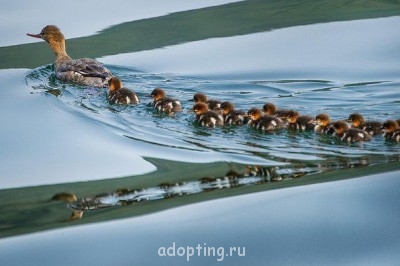 Как прекрасен этот мир, посмотри  - getImageLTQ1Q5IJ.jpg