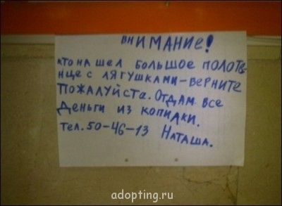 Улыбнитесь  - 4463555-R3L8T8D-500-1330019941_nadpisi-20022012-23.jpg