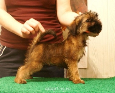 Зверье мое - ПОМЁТ У 073.JPG