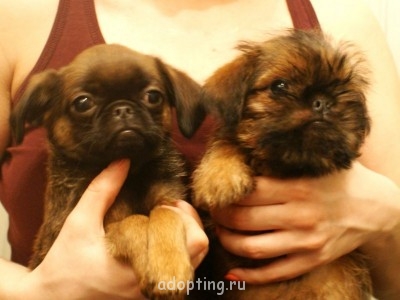 Зверье мое - ПОМЁТ У 184.JPG