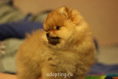 Зверье мое - IMG_0706.JPG