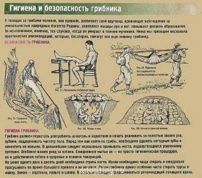 Улыбнитесь  - 13716_wmu_tk61pwjg91g.jpg