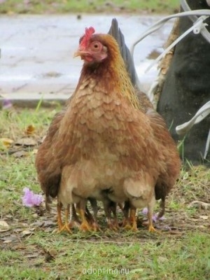 Улыбнитесь  - getImage0M1A3RD0.jpg