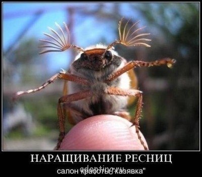 Улыбнитесь  - S4fOLA51r-w.jpg