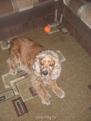 Зверье мое - SDC12395.JPG