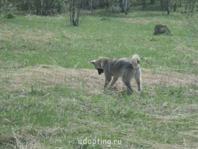 Зверье мое - 2014-05-10 13-35-14.JPG