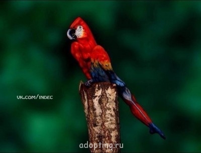 Как прекрасен этот мир, посмотри  - XFAnu1WNb1s.jpg