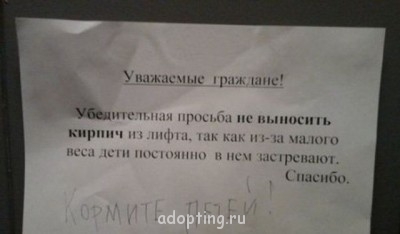 Этот безумный, безумный, безумный, безумный мир - getImage (3).jpg