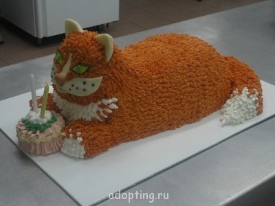 Красивые торты - XpSbGhaUaao.jpg