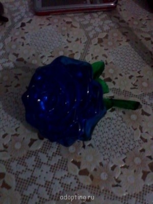 Золотые ручки - IMG_20140901_202612.jpg