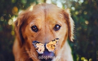 Улыбнитесь  - S8vvWkrAy3w.jpg